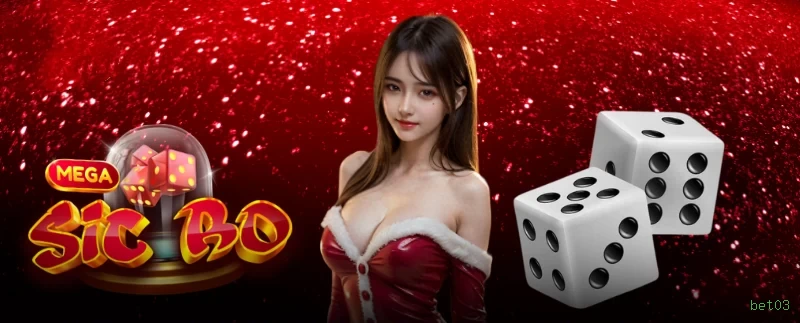 bet03